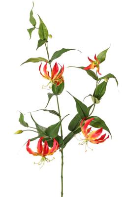 Lelie gloriosa Klimlelie XL 3x vertakt met 5 bloemen 3 knoppen & 23 bladeren 120 cm - Top art