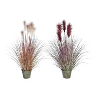 Decoratieve plant DKD Home Decor Oranje Polyethyleen Bordeaux Blik 20 x 20 x 90 cm (2 Stuks)