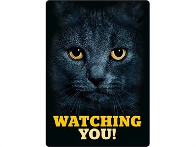 Plenty Gifts waakbord blik zwarte kat watching you