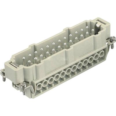 Harting 09330242601 Pin-inzetstuk Han® E 24 + PE Schroeven 1 stuk(s)