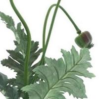 Poppy spray Casper red 93 cm kunstbloem Erutan Avon - Erutan avon