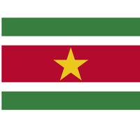 Vlag Suriname - 90 x 150 cm - Surinaamse Vlag - Suriname - thumbnail