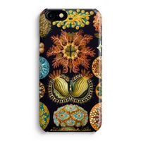 Haeckel Ascidiae: iPhone 8 Volledig Geprint Hoesje