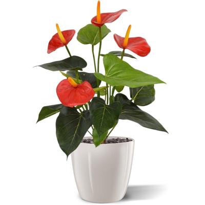 Anthurium kunstplant 40cm - rood