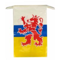 Limburg provincie slingers - 10 meter - Limburg versiering / vlaggenlijn - kunststof