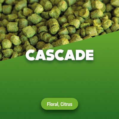 Hopkorrels Cascade 2024 5 kg