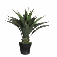 Mica Decorations Agave Kunstplant - H60 x Ø50 cm - Groen