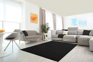 Hoogpolig Vloerkleed - Shaggy Supersoft - Zwart-120 x 170 cm