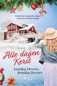 Alle dagen Kerst (Paperback)