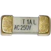 ESKA 225011 225011 SMD-zekering SMD Hoekig 250 mA 250 V Traag -T- 1 stuk(s) - thumbnail