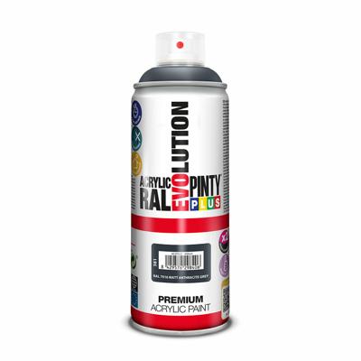 Sprayverf Pintyplus Evolution RAL 7016 Antraciet 400 ml Mat