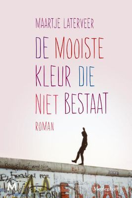 De mooiste kleur die niet bestaat - Maartje Laterveer - ebook