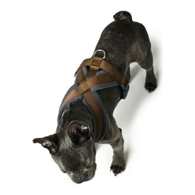 Hondentuigje Hunter London Comfort XS-S 39-47 cm Bruin