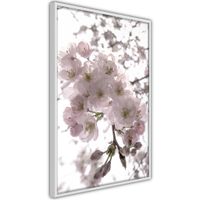 Ingelijste Poster - Bloemen Witte lijst