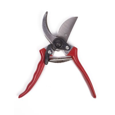 Green Arrow Snoeischaar - Vergrendelbaar - 21 cm - Rood