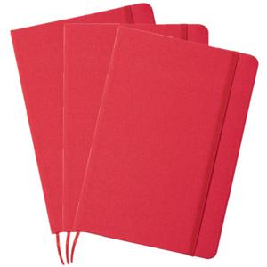 Luxe schrift/notitieboekje harde kaft A5 formaat - 3x - rood - 80 blanco paginas - opschrijfboekjes