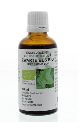 Natura Sanat Ribes nigrum / zwarte bes tinctuur bio