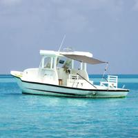 VidaXL Schaduwdoekset t-top 170x170x(113-182,5) cm antracietgrijs