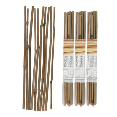Gerimport Plantenstokken - 30x stuks - 30 cm - plantensteun / tonkinstokken