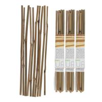 Gerimport Plantenstokken - 30x stuks - 30 cm - plantensteun / tonkinstokken