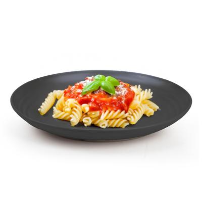 Plasticforte Rond bord/camping bord - D20 cm - zwart - kunststof - onbreekbaar - servies