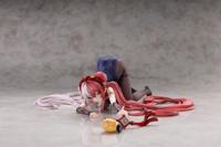 Azur Lane PVC Statue 1/6 Chao Ho Frolicking Flowers, Verse II Ver. 10 cm Azur Lane PVC Statue 1/6 Chao Ho Frolicking Flowers, Verse II Ver. 10 cm