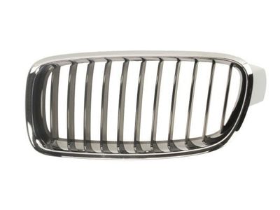 Radiateurgrille 6502070063991P