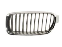Radiateurgrille 6502070063991P