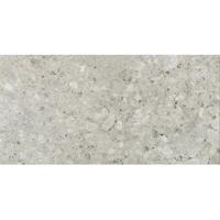 Florim Timeless 744887 Vloertegel 600X1200 Ceppo di Gre 9Mm Glans Ret.