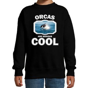 Sweater orcas are serious cool zwart kinderen - orka vissen/ orka trui