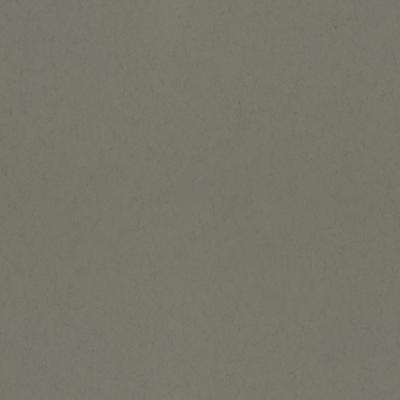 Dutch Wallcoverings Kulör - Uni Needle