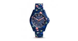 Horlogeband (Band + Kastcombinatie) Fossil ES4141 Onderliggend Silicoon Multicolor