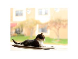 Kattenbed Voor Aan Het Raam