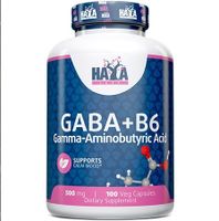 GABA + B-6 100v-caps - thumbnail