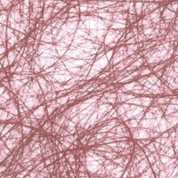 Vaessen Creative • sizoflor 5mx30cm in koker burgundy