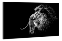 Karo-art Schilderij -Leeuw in zwart/wit, magisch, 2 maten, wanddecoratie