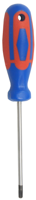 CON:P Schroevendraaier Tx15 2C - CPT312915