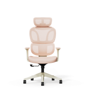Kleurrijke Ergonomische Stoel met Wolkachtige Kussen