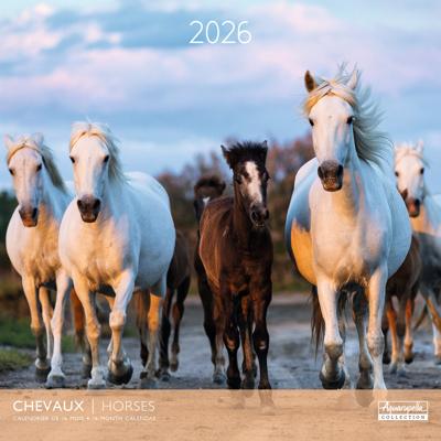 Paarden Kalender 2026