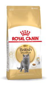 Royal Canin British Shorthair Adult droogvoer voor kat 4 kg Volwassen