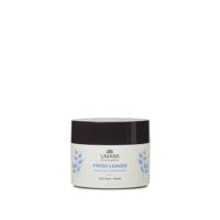 Umami Exclusive Cosmetics Fresh Leaves Rich Body Cream Japanese Mint & Ginger 250ml Umami Exclusive Cosmetics Fresh Leaves Rich Body Cream Japanese Mint & Ginger 250ml