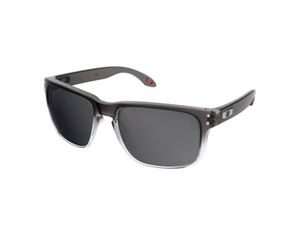 Zonnebrillen Oakley Holbrook OO9102 9102O2