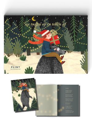 Plint Poëziekerstkaarten - Annemarie van den Brink - Pakket (9789059309753)