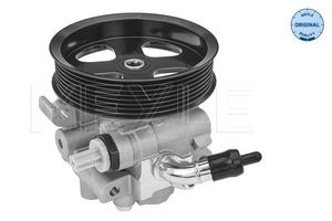 Servo pomp 53146310005