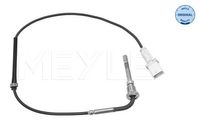 Sensor, uitlaatgastemperatuur 2148000039
