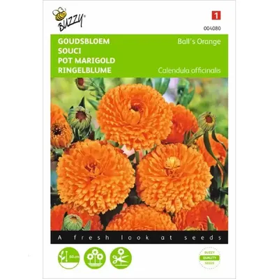 Calendula, Goudsbloem Ball's Orange dubbelbloemig