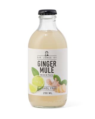 HEMA Alcoholvrije Ginger Mule 250ml
