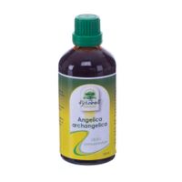 Fytobell Angelica Archangelica bij Overgangsproblemen 100ml