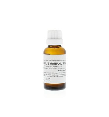Carduus marianus D4