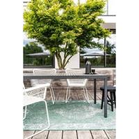 Eva Interior Buitenkleed Groen Sage 200 x 290 cm